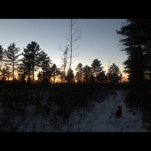 Meet your Posher, Lindsey